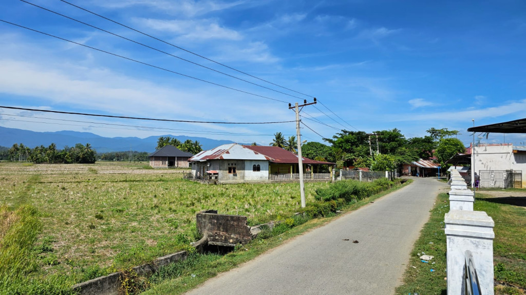 Kondisi Sawah Gampong Manyang