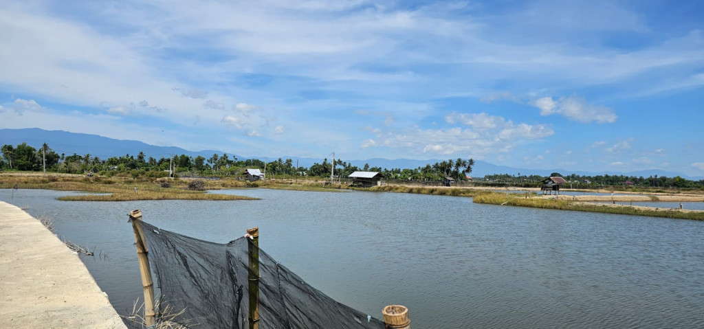 Kondisi Tambak Gampong Manyang